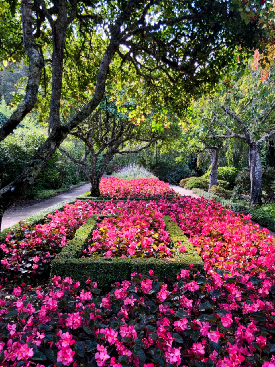 Création de jardin