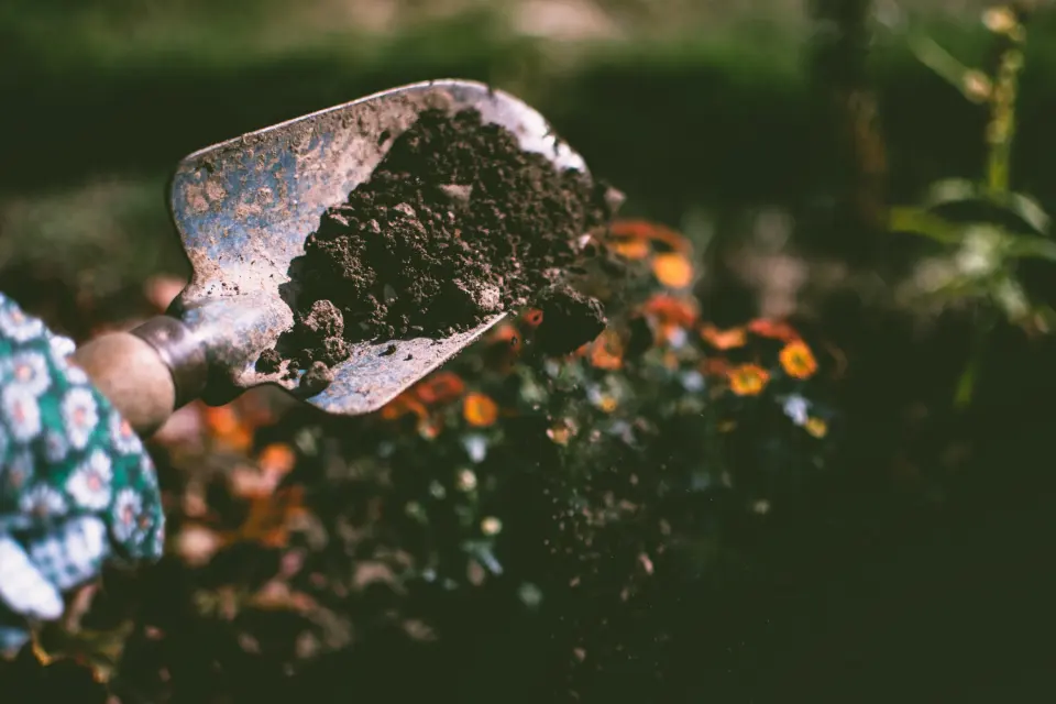 Entretien de jardin